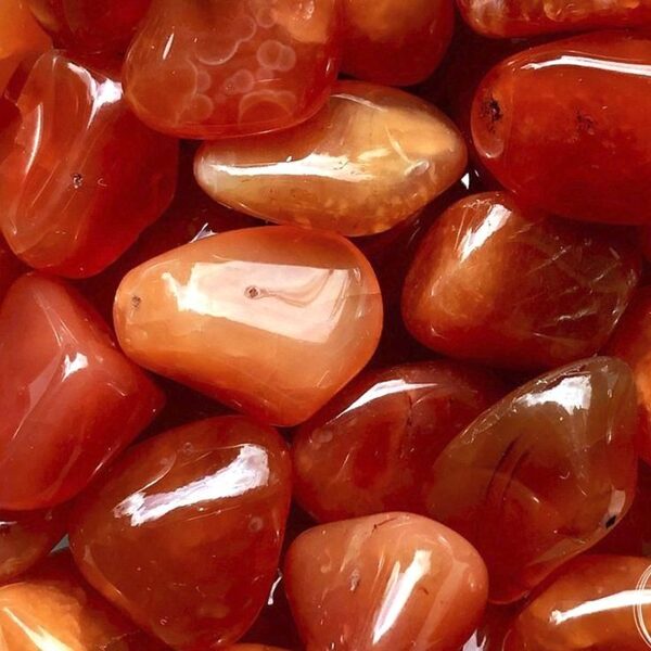 KARNEOLS